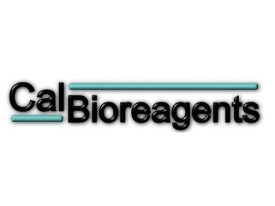 CalBioreagents代理，CalBioreagents蘇州代理，